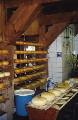 Schaukäserei - Käsewand Schaukäserei - Käsewand
