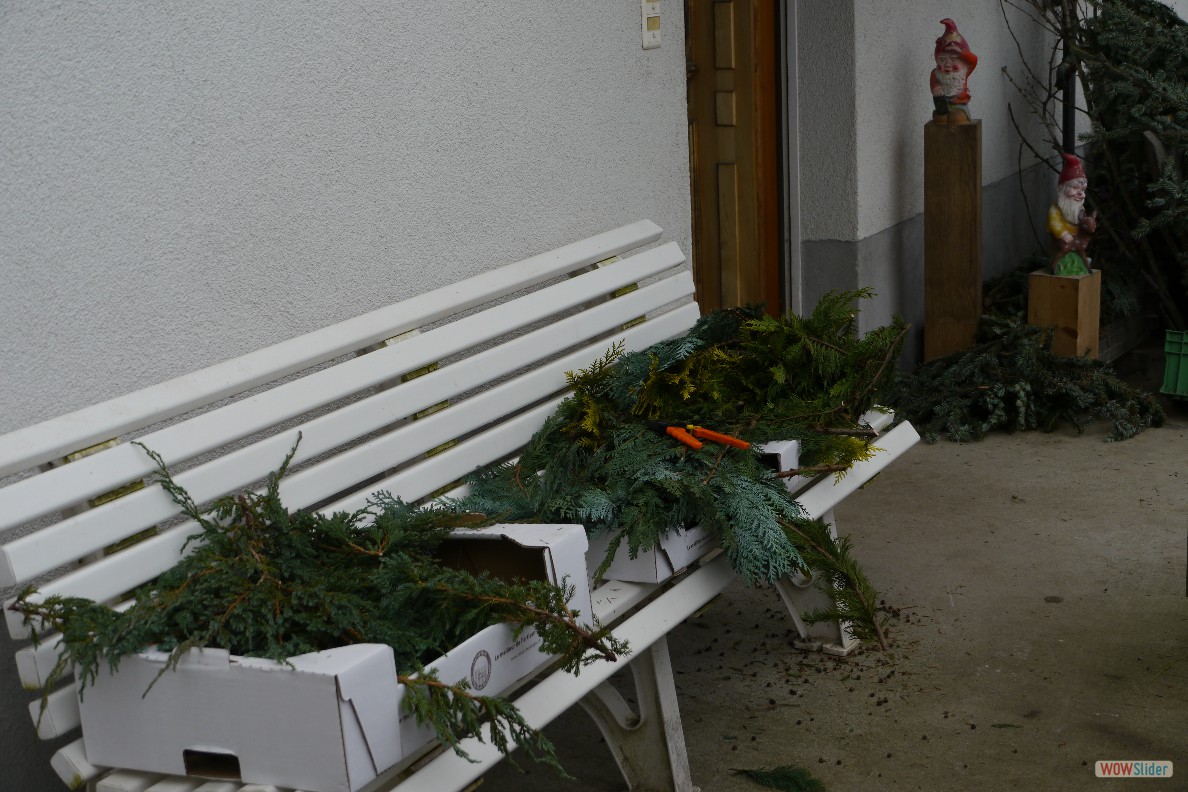 P1050877 - √&Ntilde;ste f√ºr Gestecke